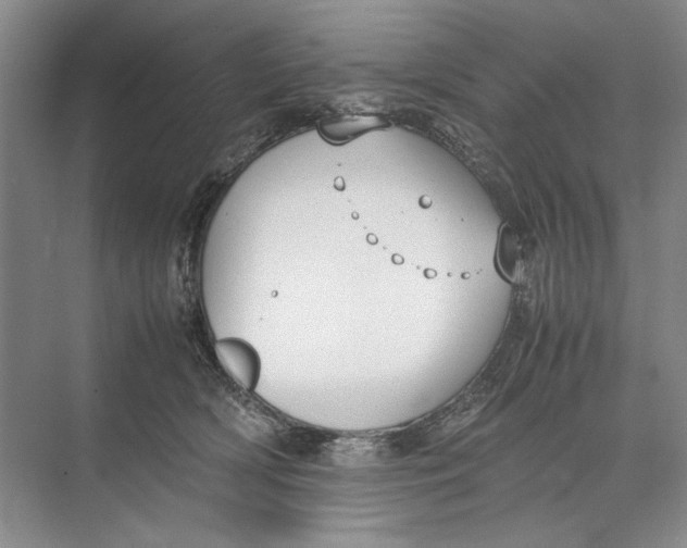 X0000074970418200609221828