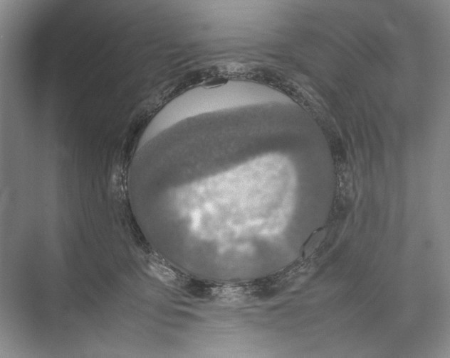 X0000074970419200609221828