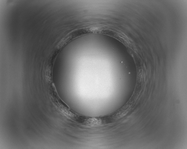 X0000074970421200609221828