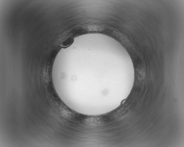 X0000074970422200609221828