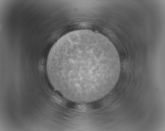 X0000074970423200609221828