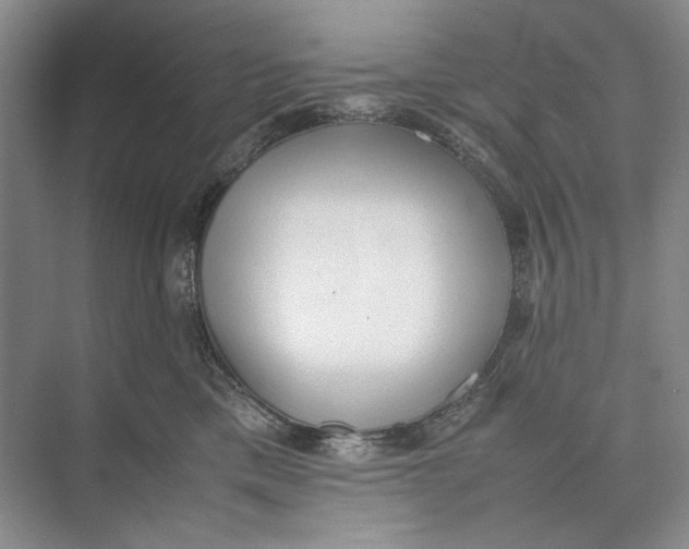 X0000074970425200609221828