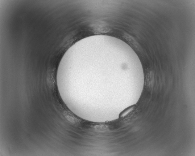 X0000074970426200609221828