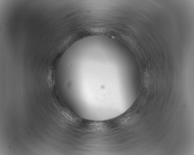 X0000074970428200609221828