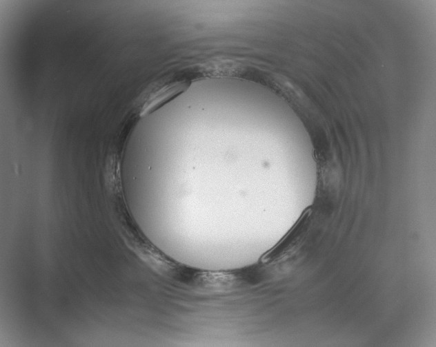 X0000074970429200609221828