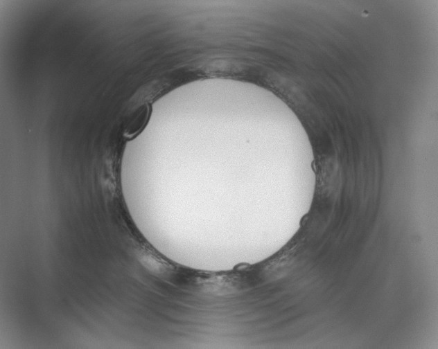 X0000074970430200609221828