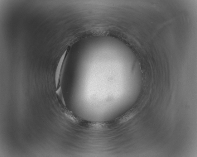 X0000074970432200609221828