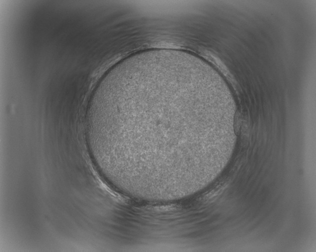 X0000074970433200609221827