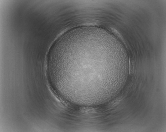 X0000074970435200609221827