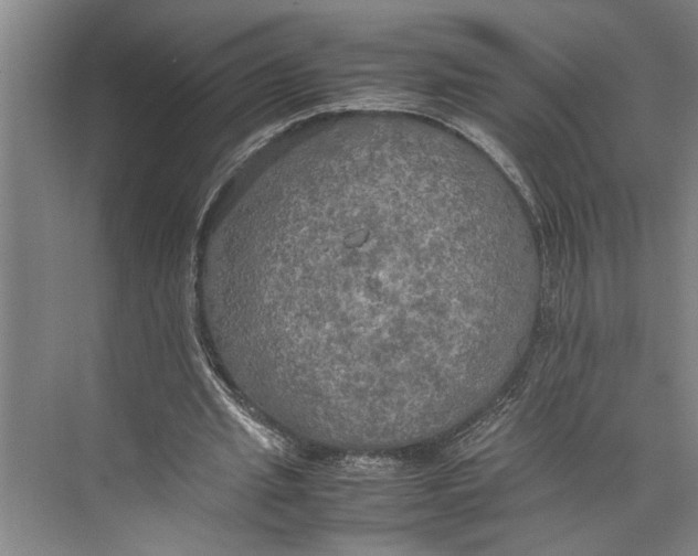 X0000074970437200609221827