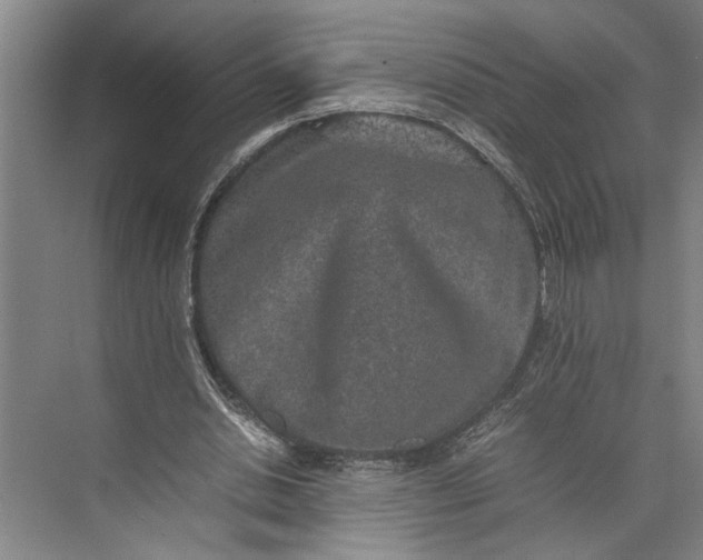 X0000074970438200609221827