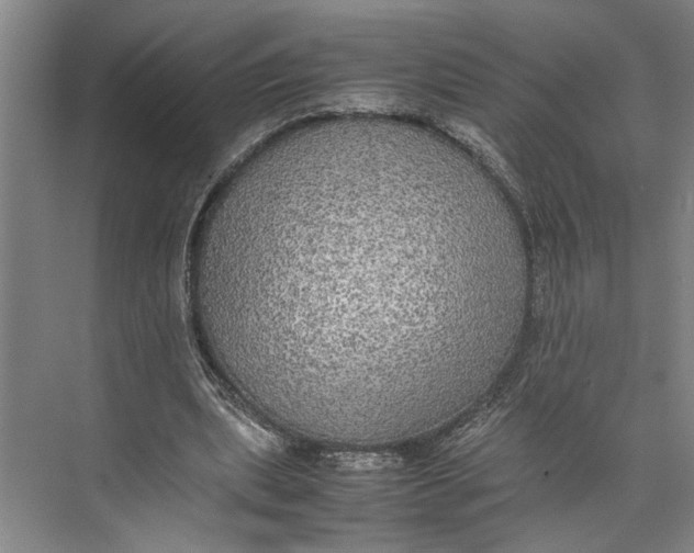 X0000074970439200609221827