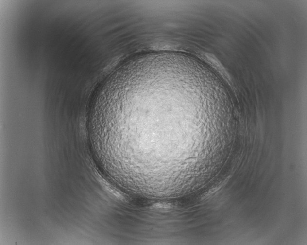 X0000074970441200609221827