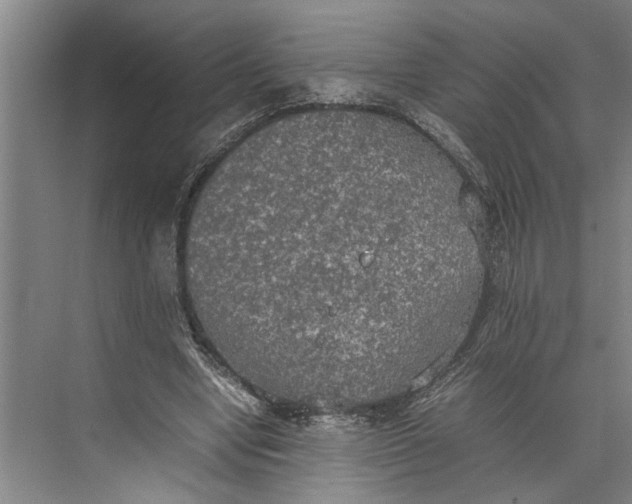 X0000074970442200609221827