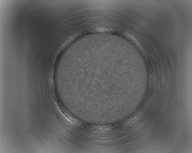 X0000074970443200609221827