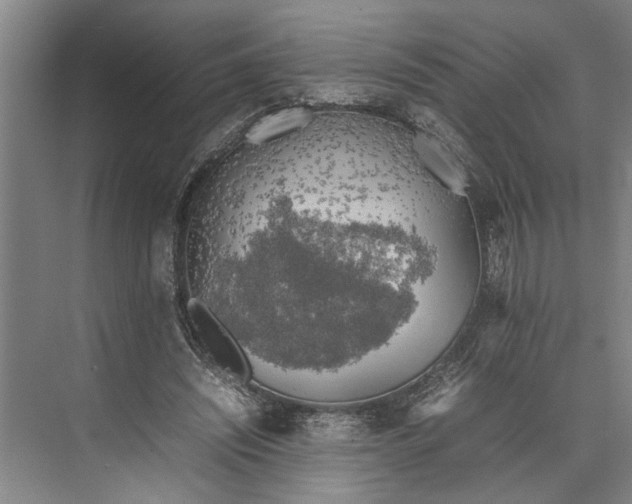 X0000074970444200609221827