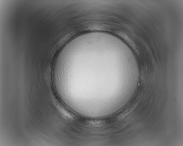 X0000074970445200609221827