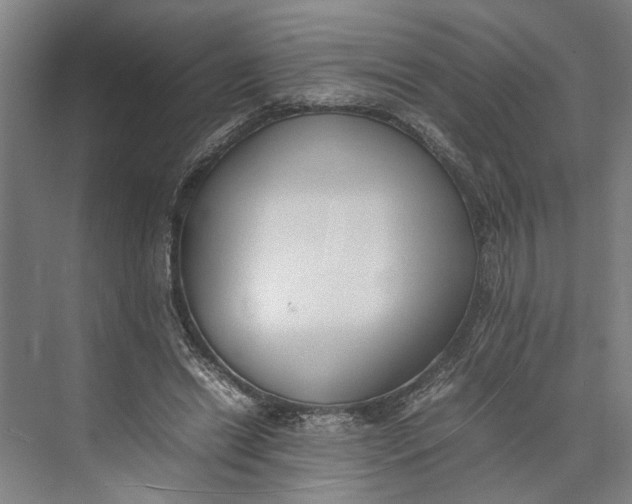 X0000074970446200609221827