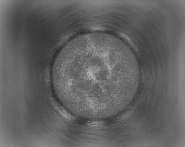 X0000074970447200609221827