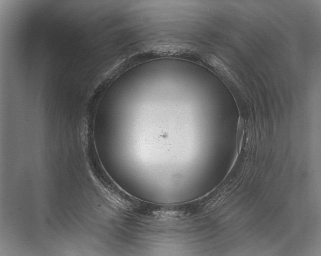 X0000074970448200609221827