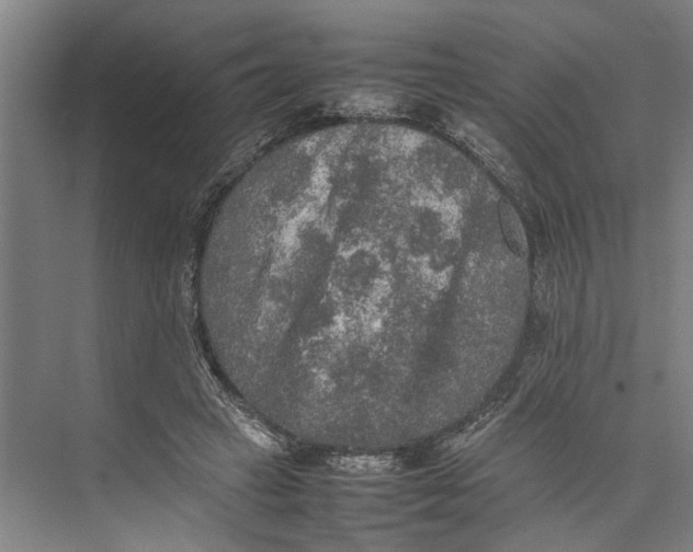 X0000074970449200609221827