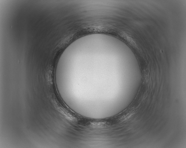 X0000074970450200609221827