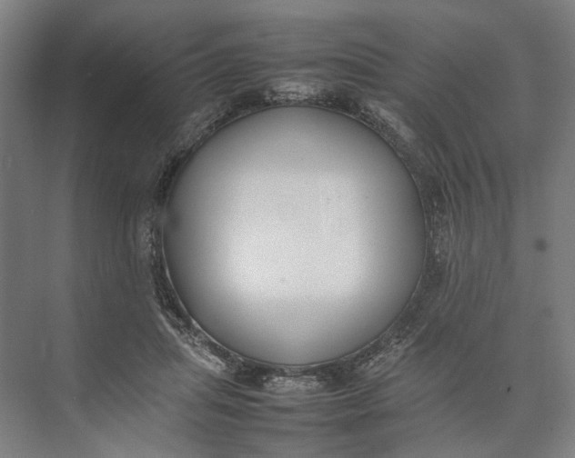 X0000074970455200609221827