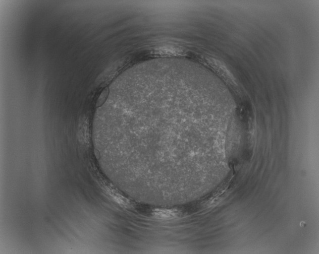 X0000074970457200609221827