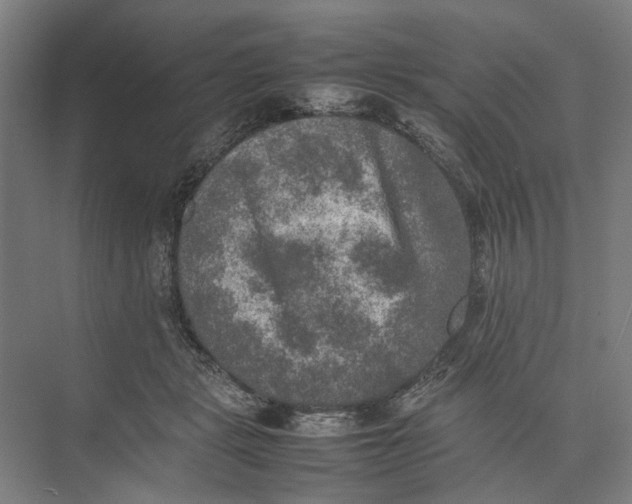 X0000074970461200609221827