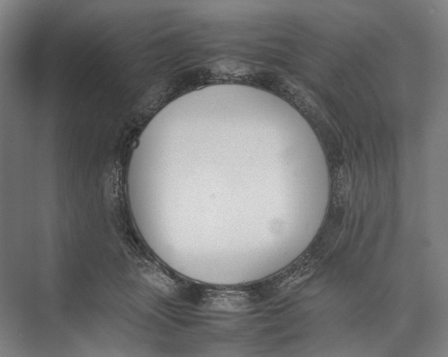 X0000074970463200609221827