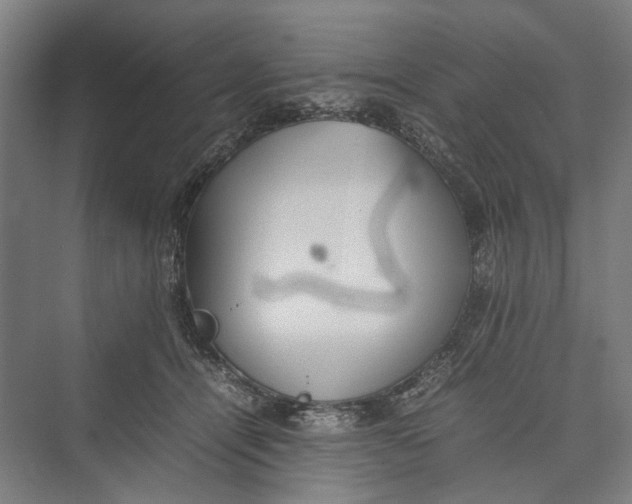 X0000074970464200609221827