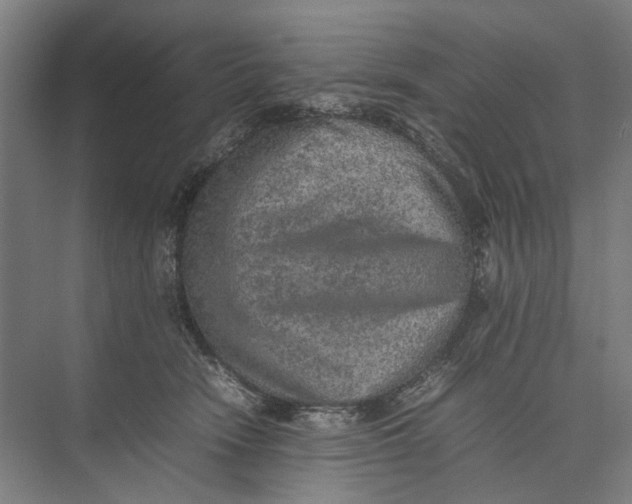 X0000074970466200609221827