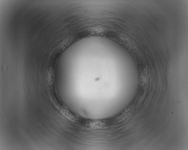 X0000074970468200609221827