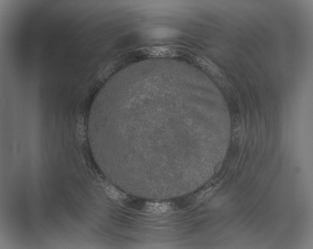 X0000074970469200609221827