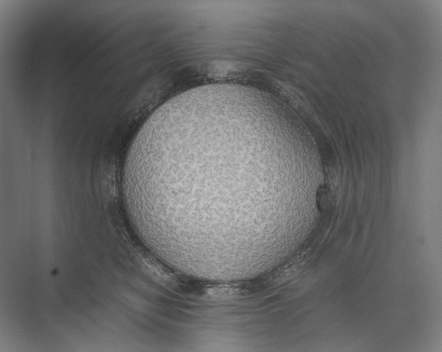 X0000074970470200609221828