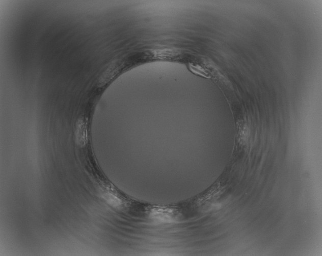 X0000074970471200609221828