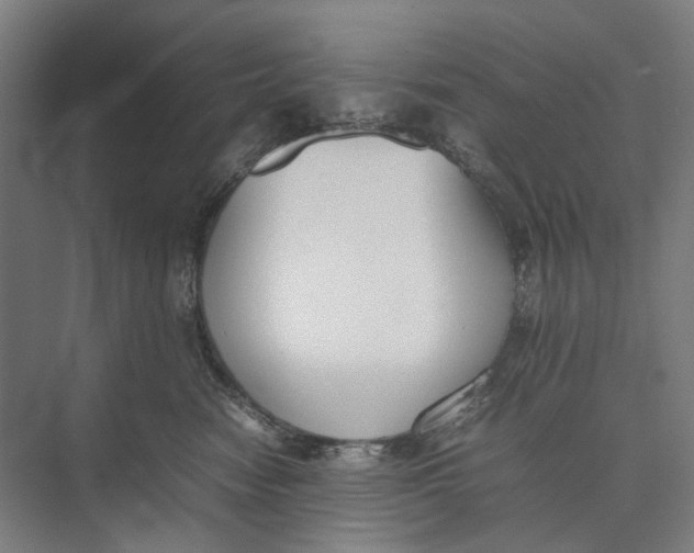 X0000074970474200609221828