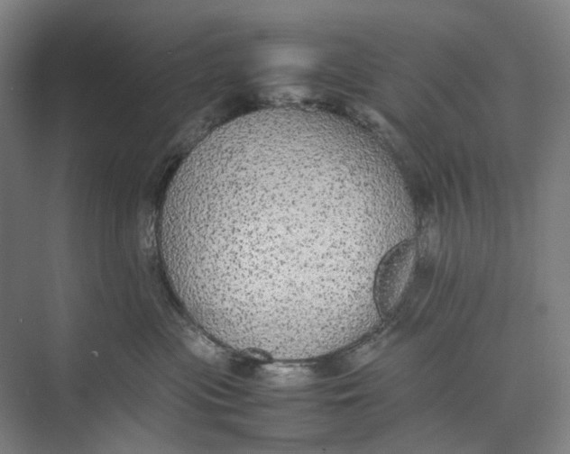 X0000074970477200609221828