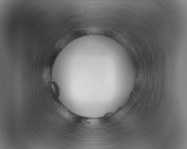 X0000074970478200609221828