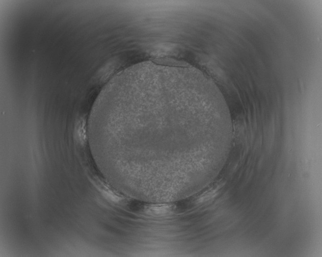 X0000074970479200609221828