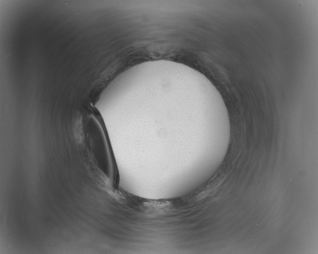 X0000074970480200609221828