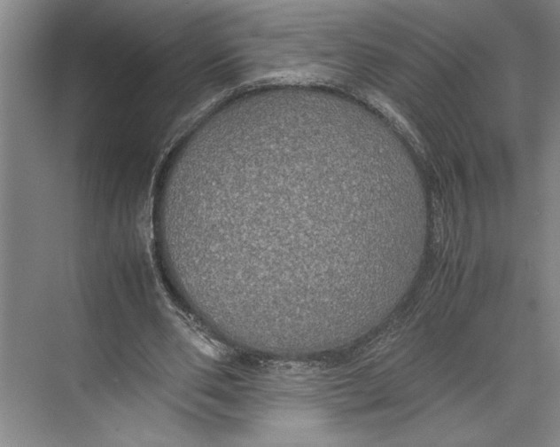 X0000074970486200609221827