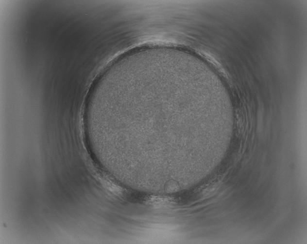 X0000074970487200609221827