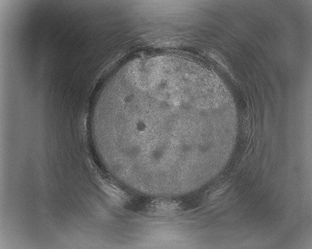 X0000074970491200609221827