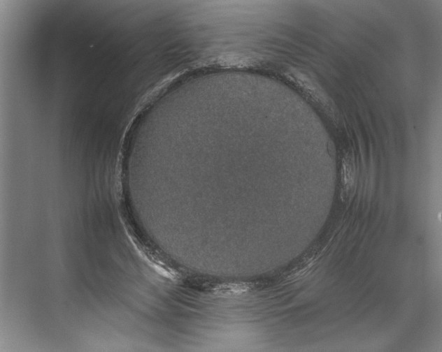 X0000074970492200609221827