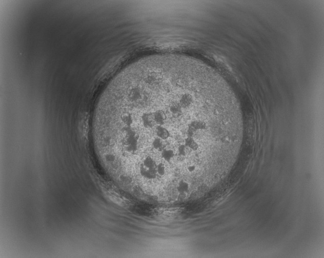 X0000074970495200609221827