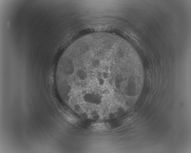 X0000074970499200609221827