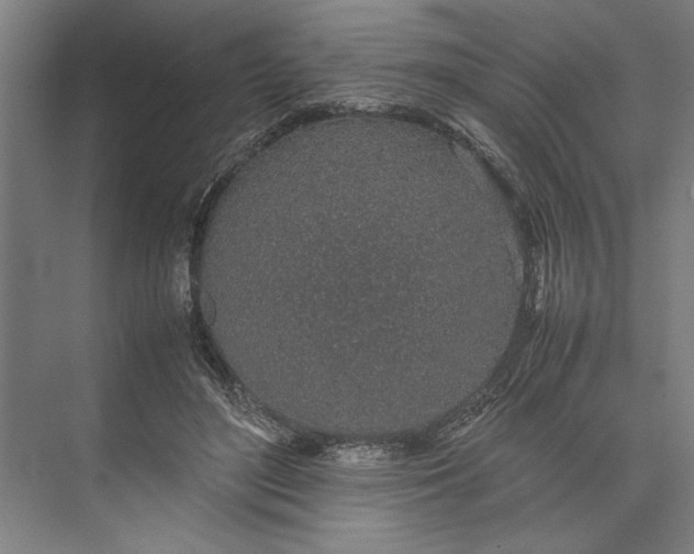 X0000074970500200609221827