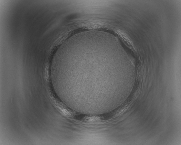 X0000074970501200609221827