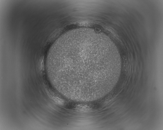 X0000074970502200609221827